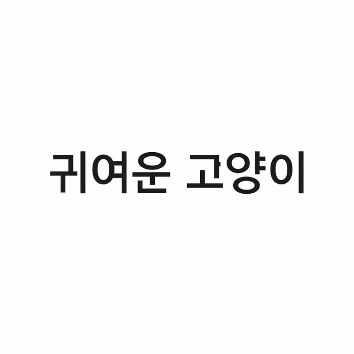 귀여운 고양이