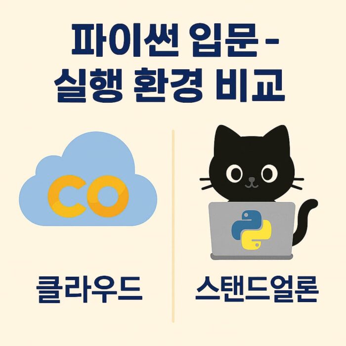 파이썬 입문자를 위한 실행 환경 비교 인포그래픽 썸네일