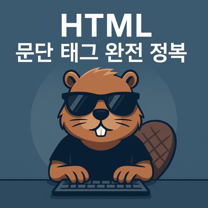 줄만 바꾸면 될 줄 알았지? HTML 문단 태그 <p> 제대로 쓰는 법